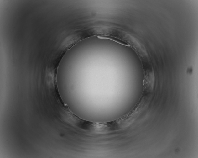X0000103450333200809121434