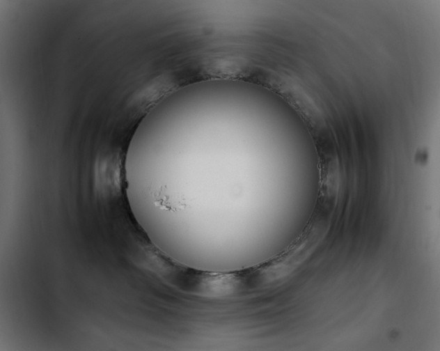 X0000103450334200809121434