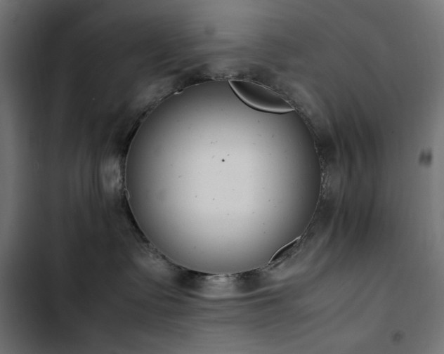 X0000103450335200809121434