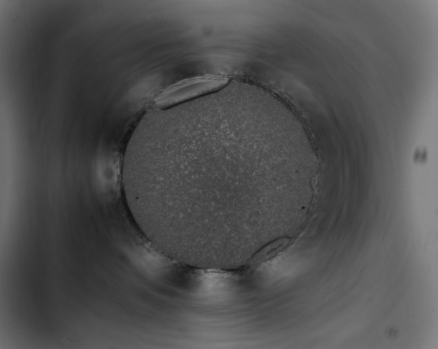 X0000103450336200809121434