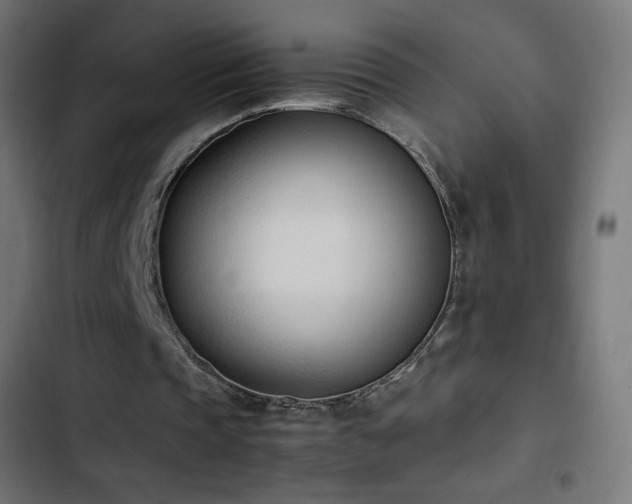 X0000103450337200809121433