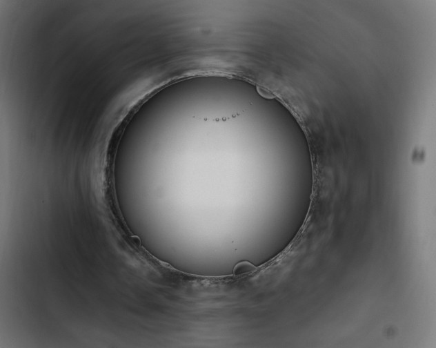 X0000103450338200809121433