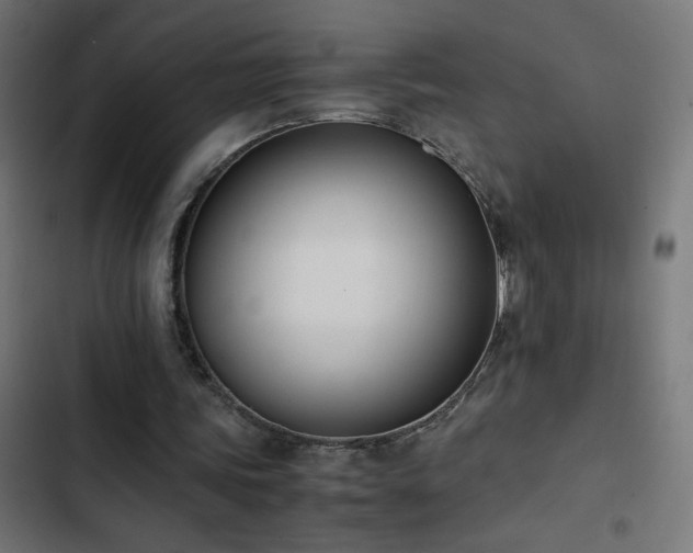X0000103450339200809121433