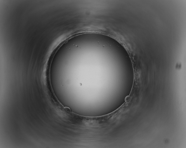 X0000103450340200809121433