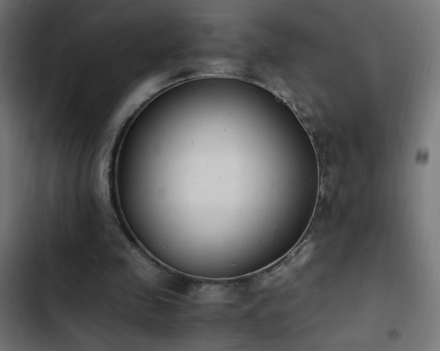 X0000103450341200809121433