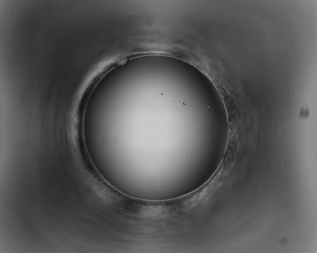 X0000103450342200809121433