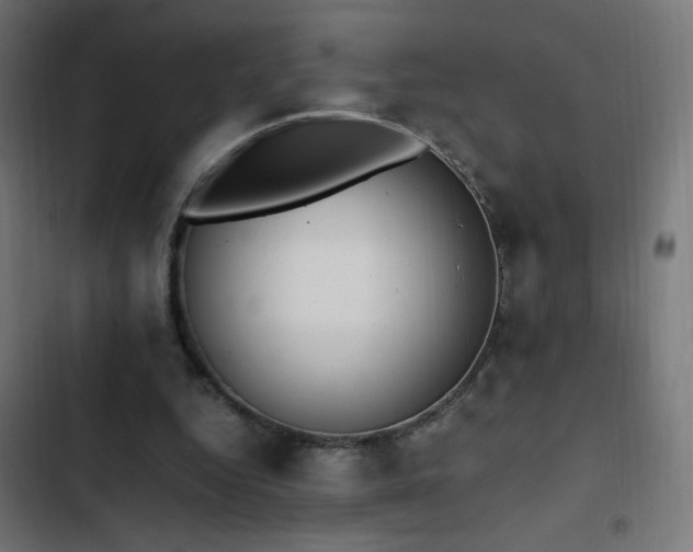 X0000103450344200809121433