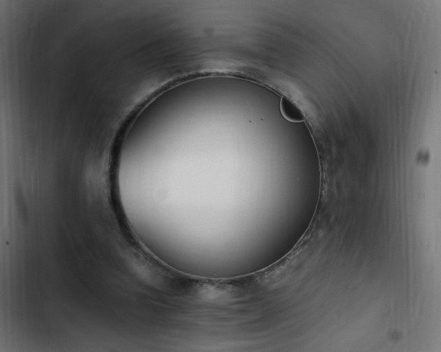 X0000103450346200809121433