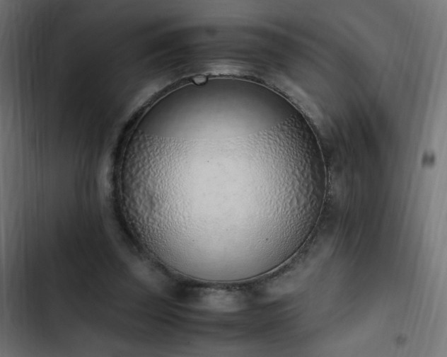 X0000103450347200809121433