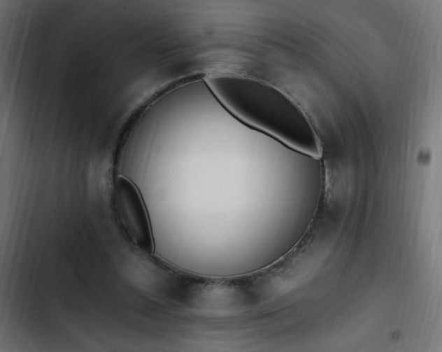X0000103450348200809121433