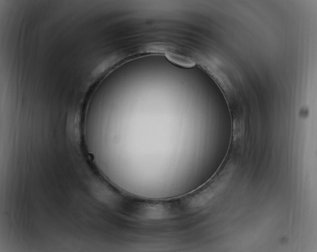 X0000103450349200809121433