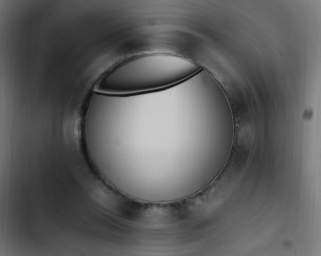X0000103450350200809121433