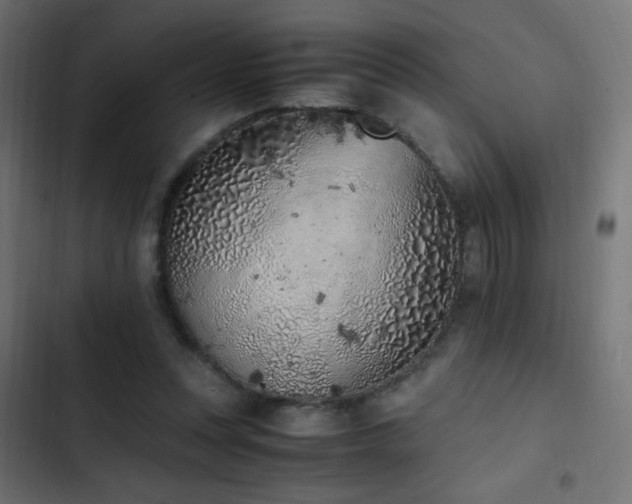 X0000103450351200809121433