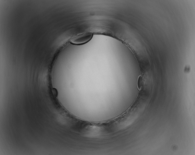 X0000103450352200809121433