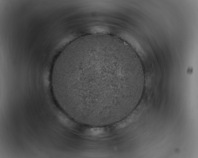 X0000103450353200809121433