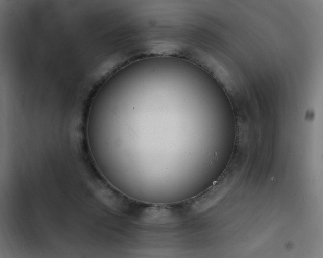 X0000103450354200809121433