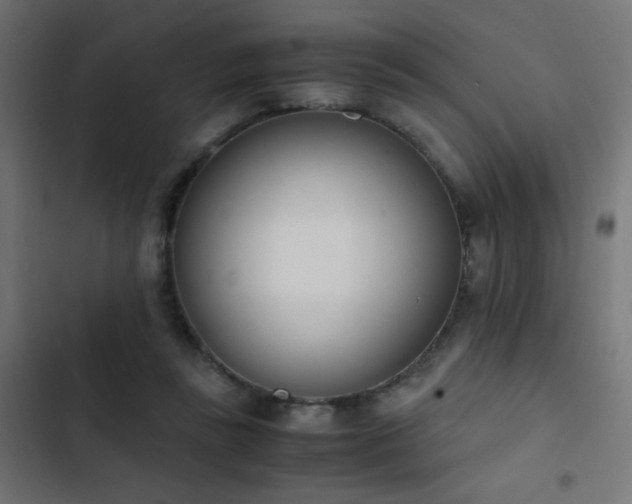 X0000103450355200809121433