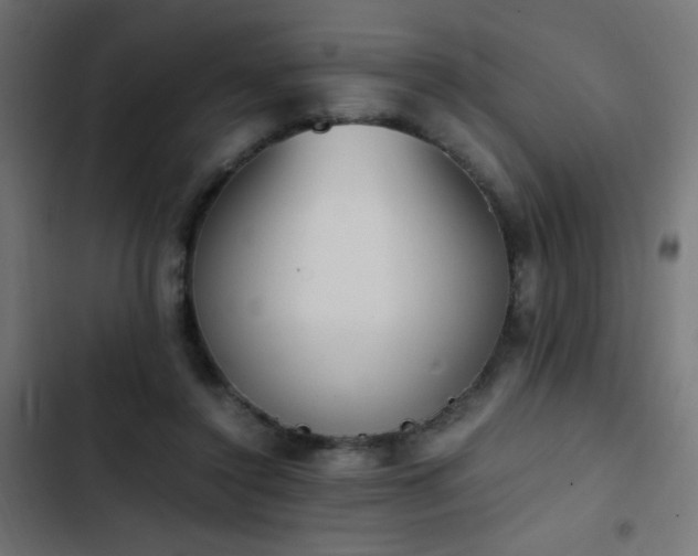 X0000103450356200809121433