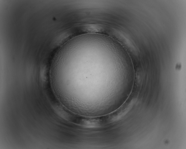 X0000103450359200809121433