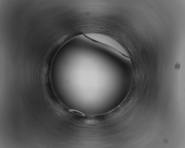 X0000103450360200809121433