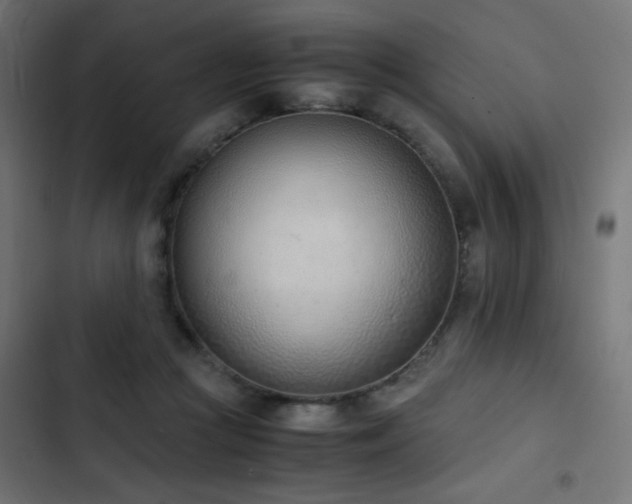 X0000103450361200809121433