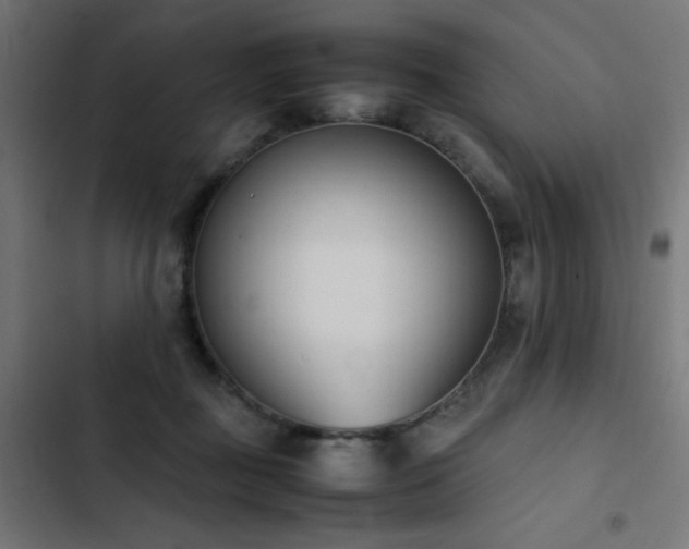 X0000103450363200809121433
