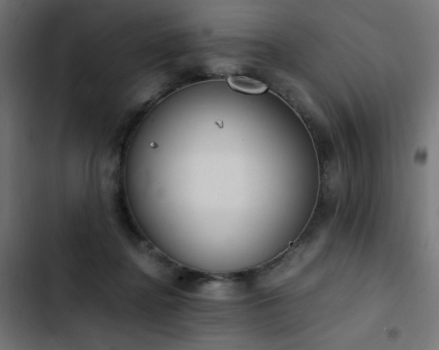 X0000103450364200809121433