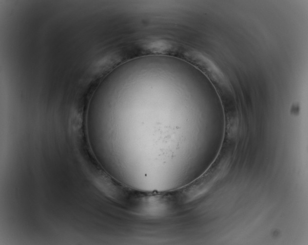 X0000103450365200809121433
