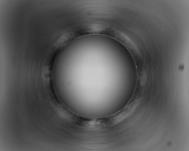 X0000103450366200809121433