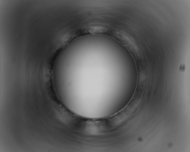 X0000103450367200809121433