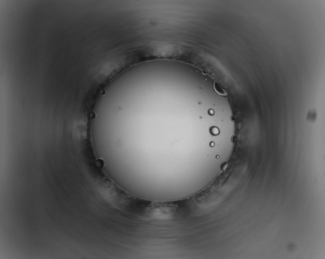 X0000103450368200809121433