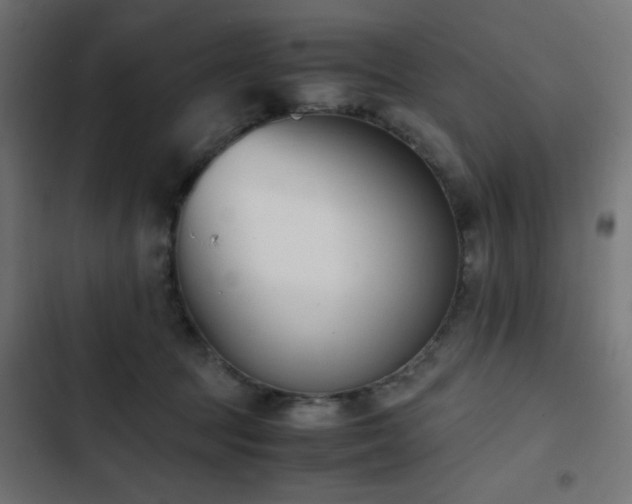 X0000103450369200809121433