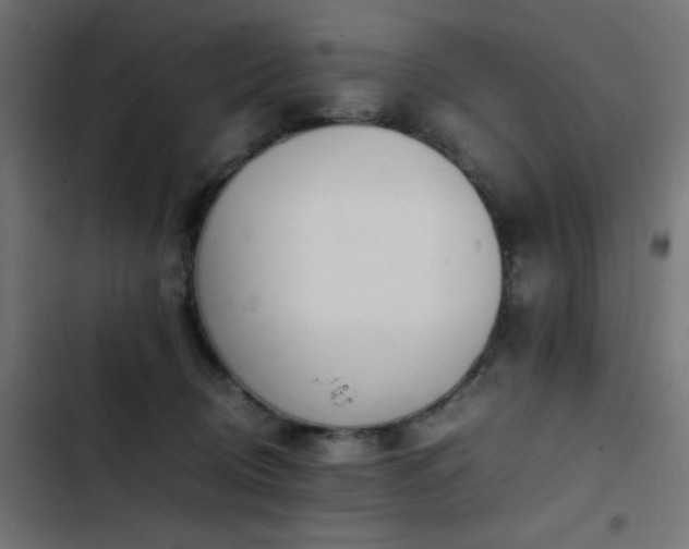 X0000103450370200809121433