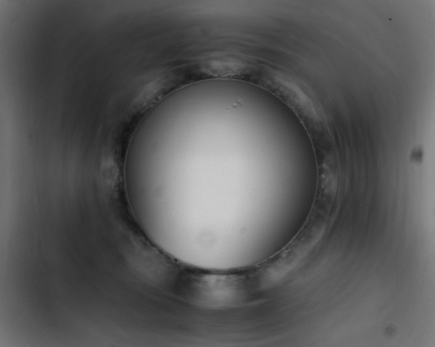 X0000103450371200809121433