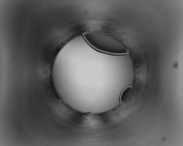 X0000103450372200809121433