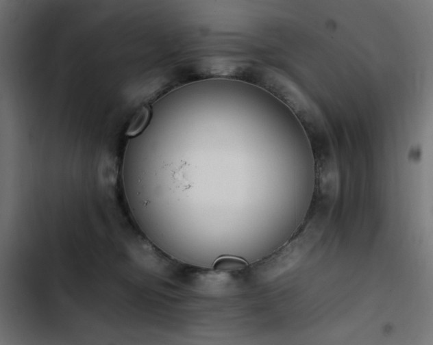 X0000103450374200809121433