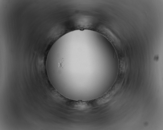 X0000103450377200809121433