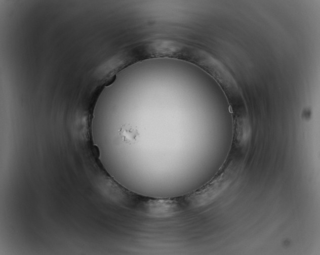X0000103450378200809121433