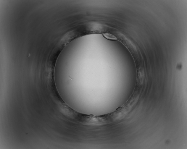 X0000103450379200809121433