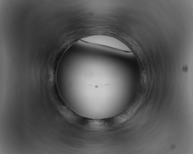 X0000103450380200809121433