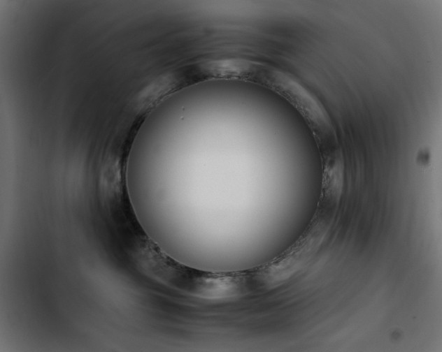 X0000103450381200809121433