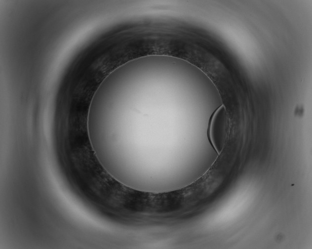 X0000103450383200809121434