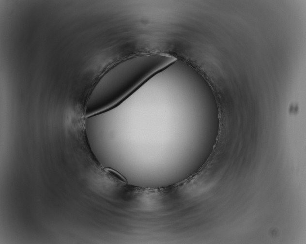 X0000103450384200809121434