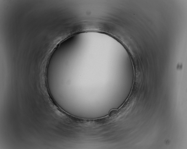 X0000103450385200809121433