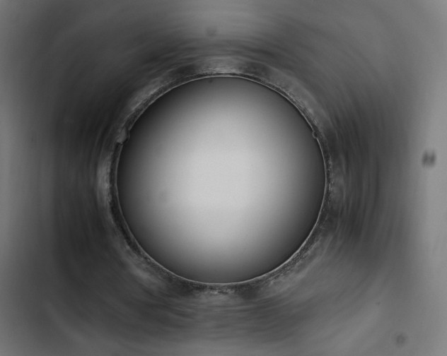 X0000103450386200809121433