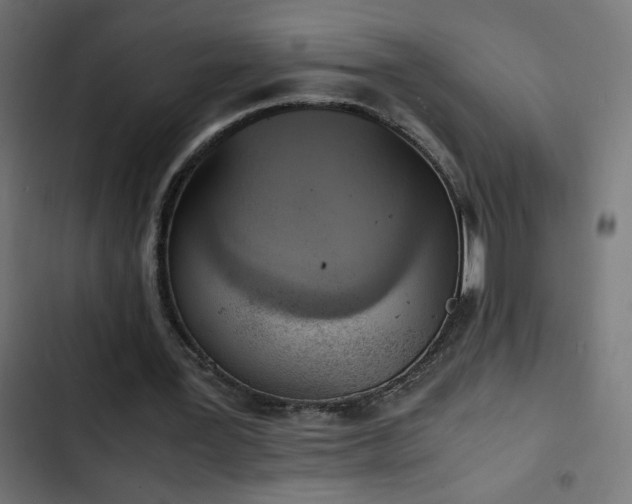 X0000103450387200809121433