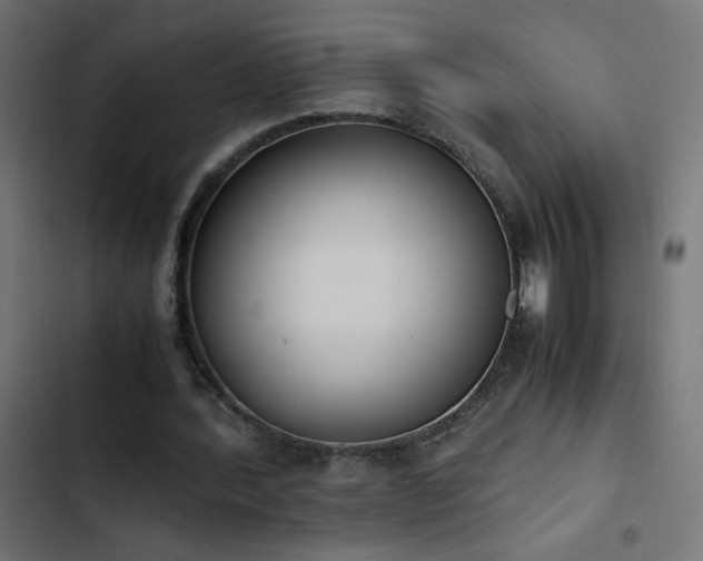X0000103450388200809121433