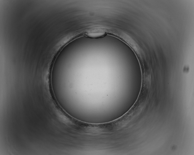 X0000103450389200809121433