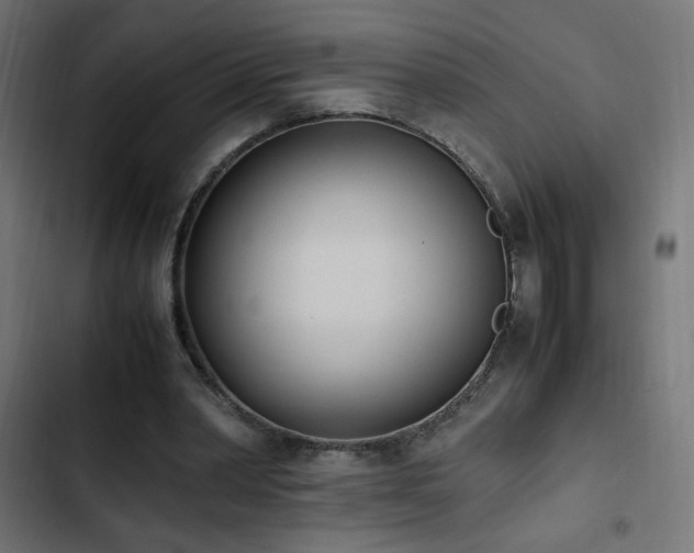 X0000103450390200809121433