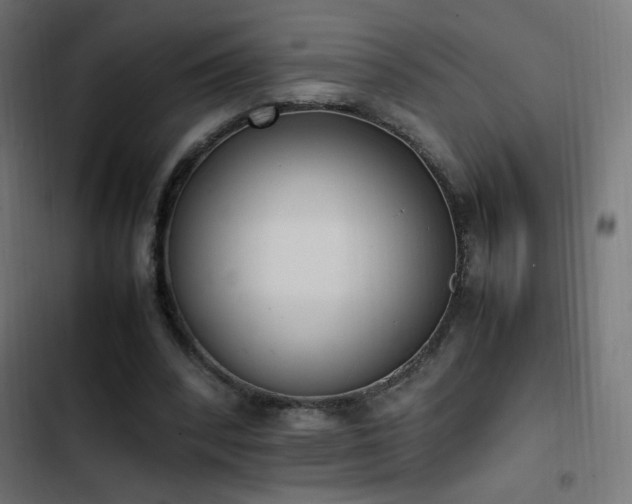X0000103450392200809121433